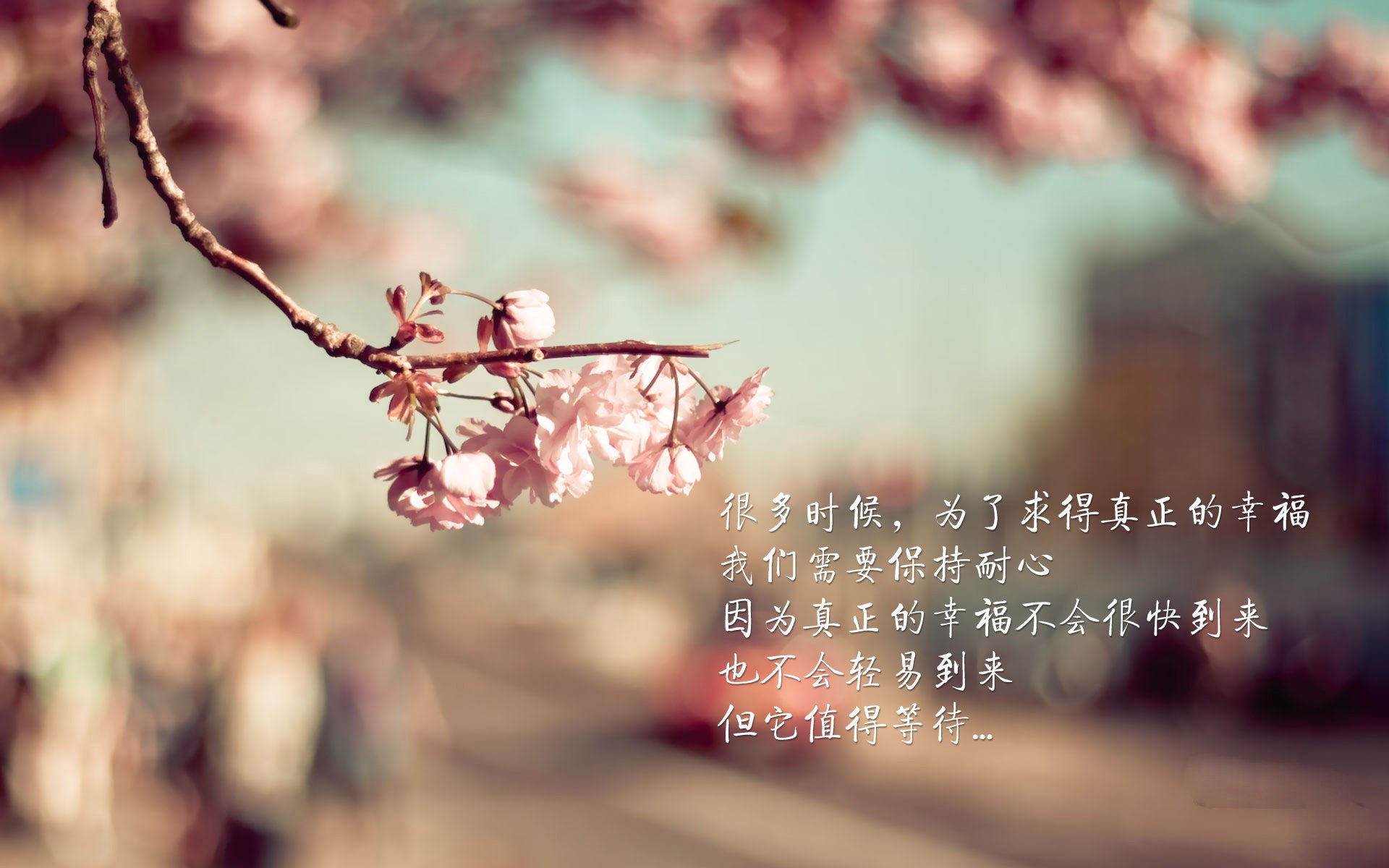 意甲新晋年轻球员频繁亮相，未来可期，意甲年轻后卫