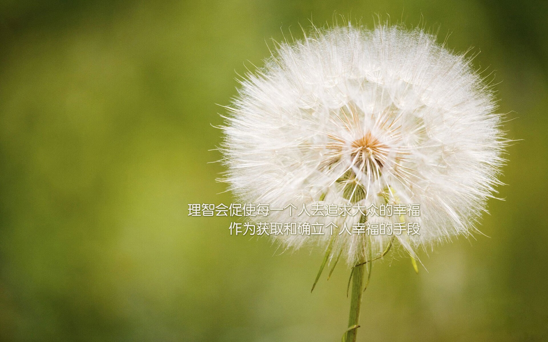 球员成名记：本赛季的爆发之星，球星成长礼包是啥