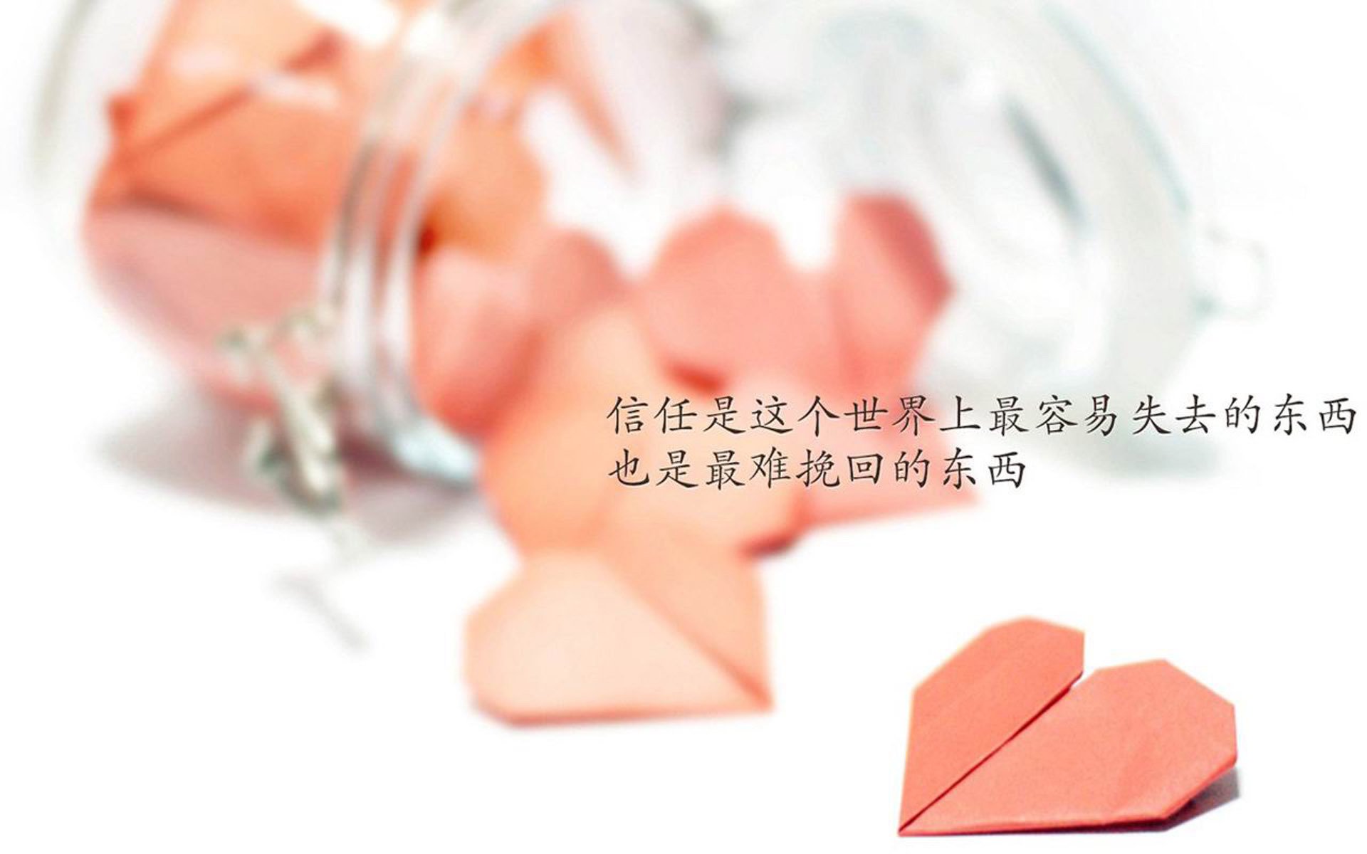 体育新闻中心主办体育文化数字化转型研讨会，体育 数字化