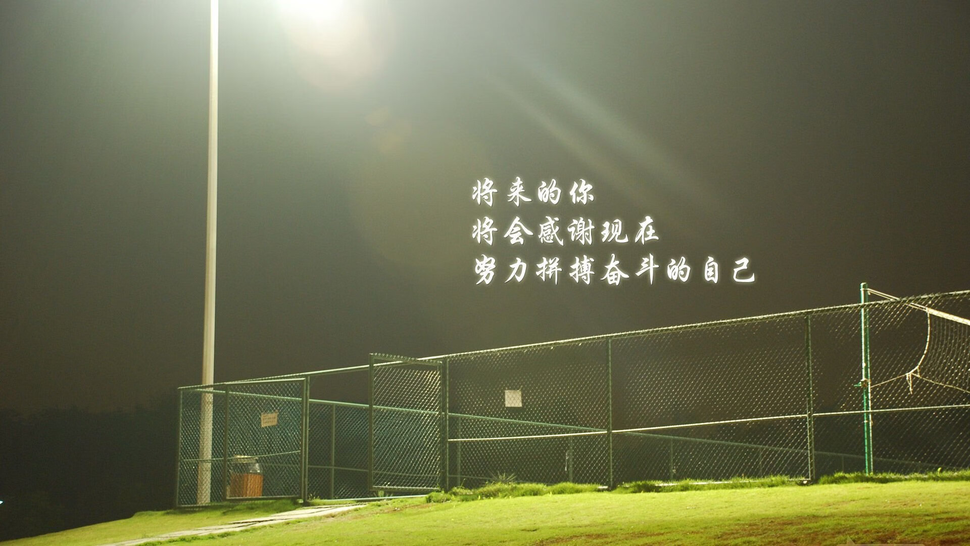 湖人球员与球迷互动合照登上社交热搜榜，湖人队球员合照