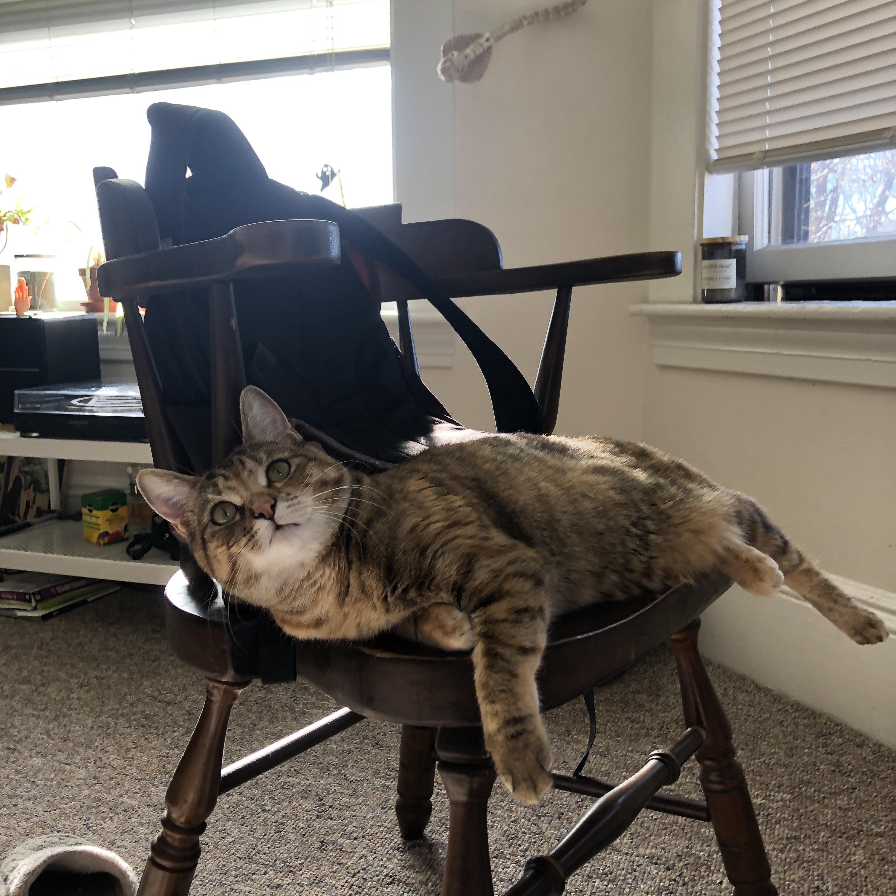 足球视频裁判系统全面普及实施,足球裁判视角