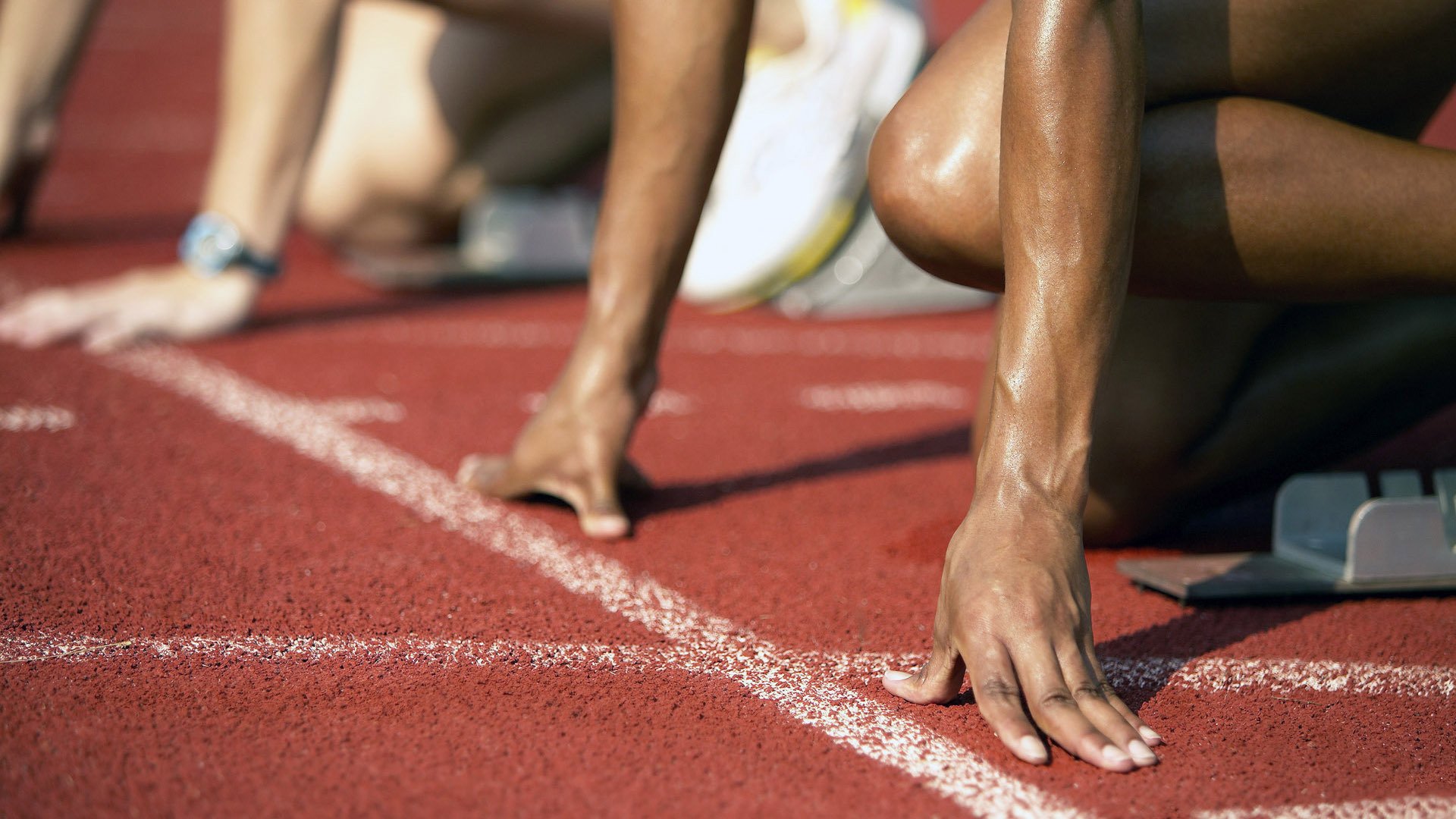 WRC赛道环境：如何适应不同地形？，wrc的赛道